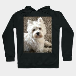 Westie Hoodie